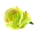 GR280 Róża - główka Cream/Green